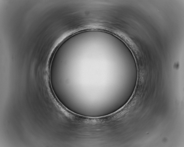 X0000100361286200806131006