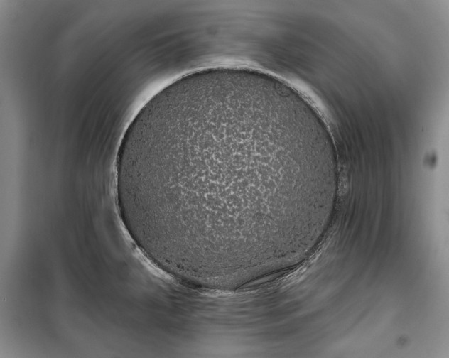 X0000100361287200806131006