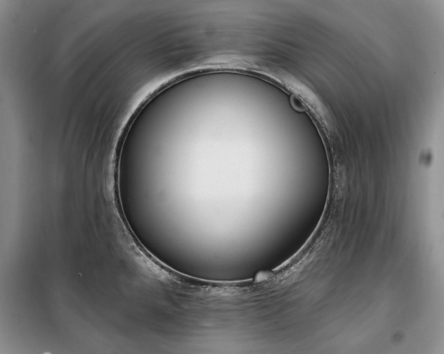 X0000100361288200806131006