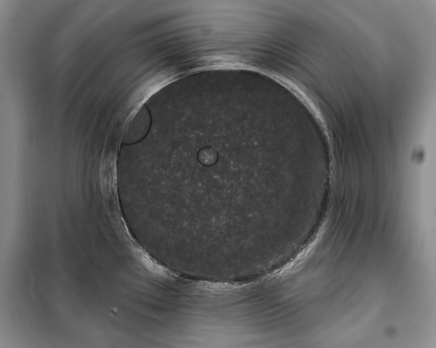 X0000100361289200806131006