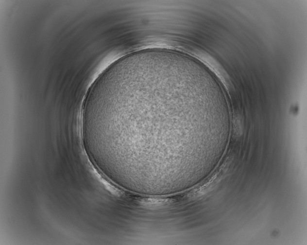 X0000100361290200806131006