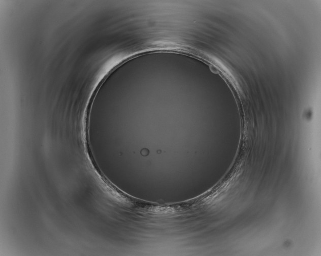 X0000100361291200806131006