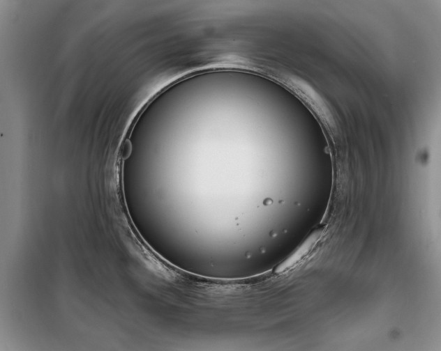 X0000100361292200806131006