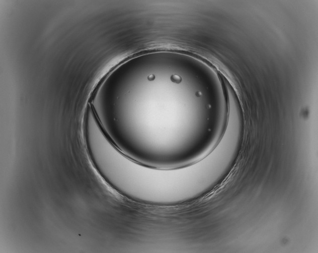 X0000100361293200806131006