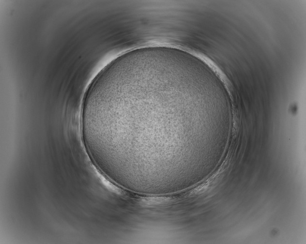 X0000100361294200806131006