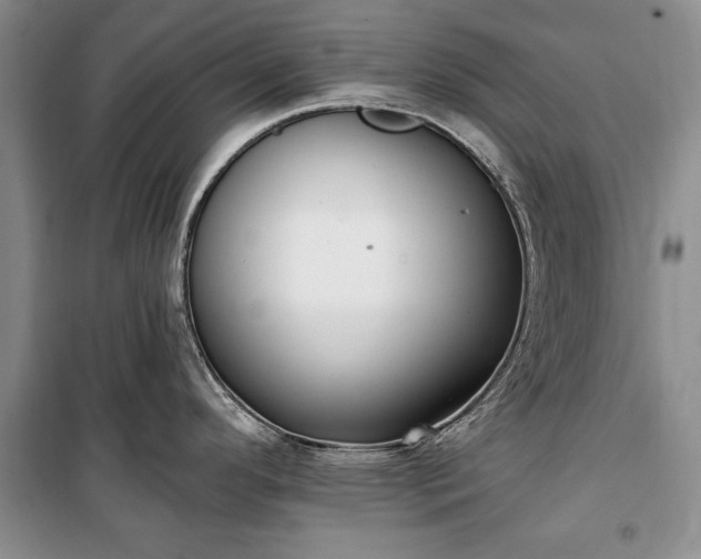 X0000100361296200806131006