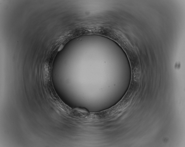 X0000100361298200806131006