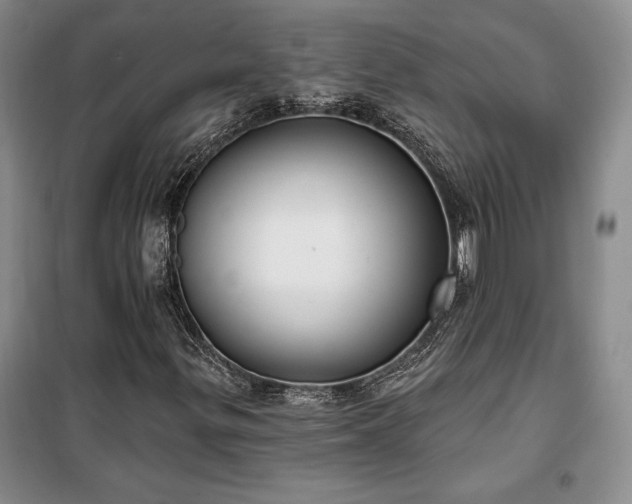 X0000100361299200806131006