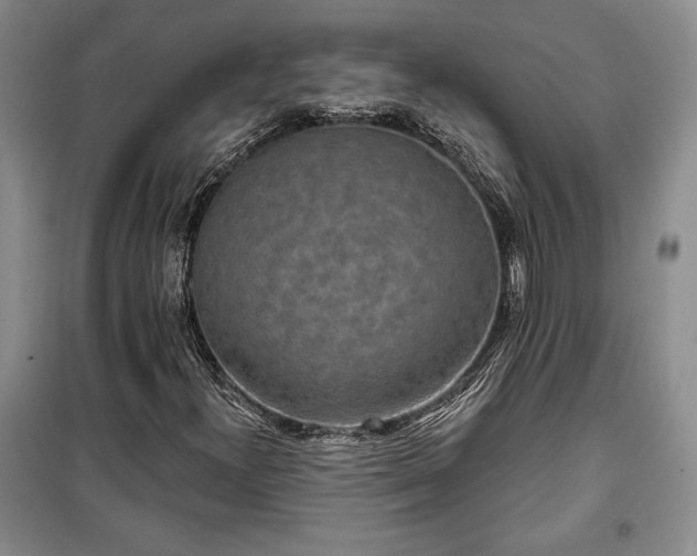 X0000100361300200806131006