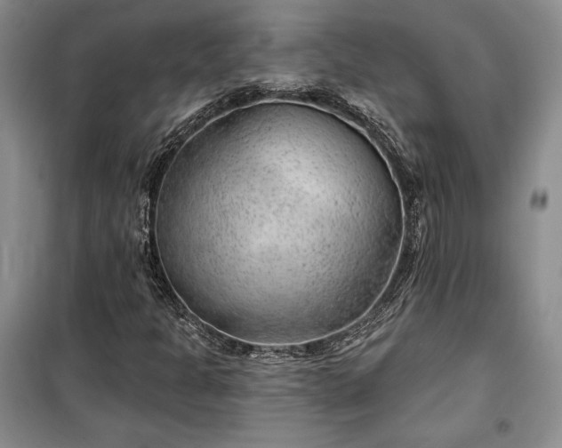 X0000100361301200806131006