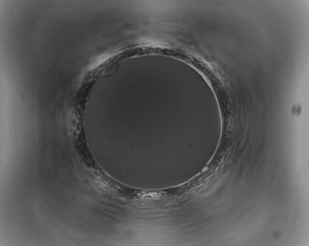 X0000100361303200806131006