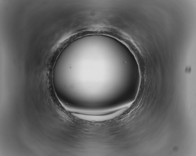 X0000100361304200806131006