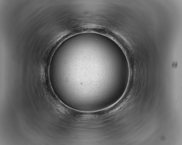 X0000100361305200806131006