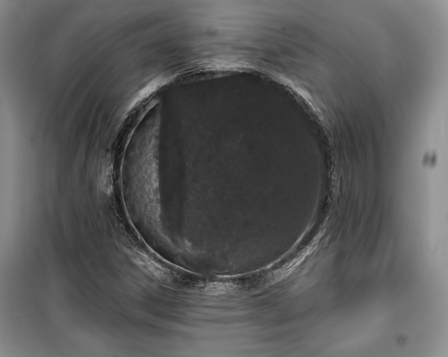 X0000100361306200806131006