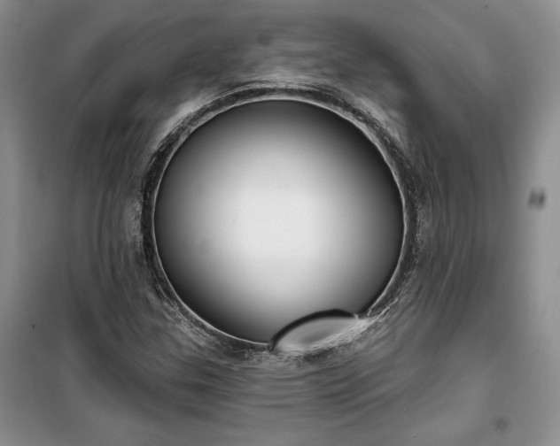 X0000100361307200806131006