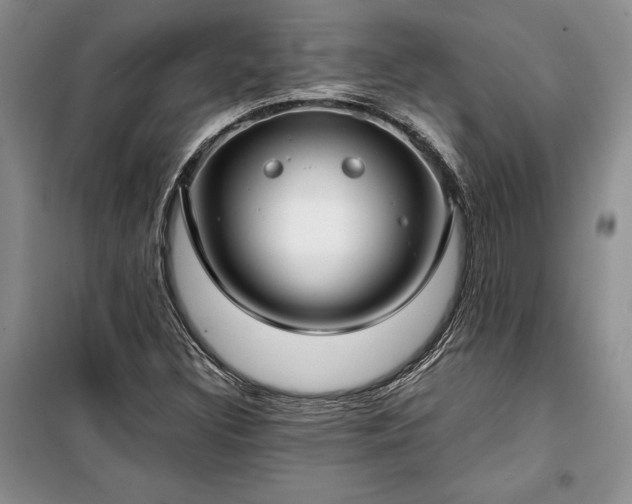 X0000100361308200806131006