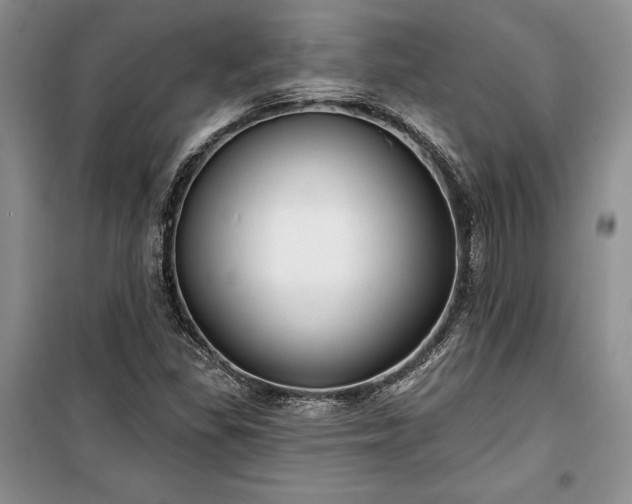 X0000100361309200806131006