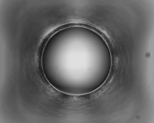 X0000100361311200806131006