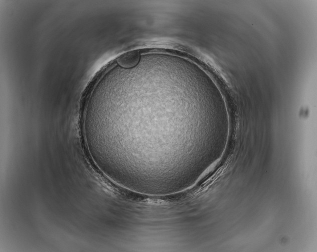 X0000100361312200806131006