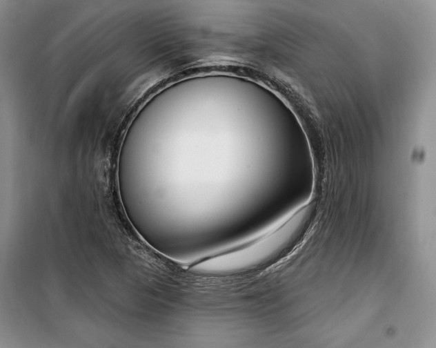 X0000100361313200806131006