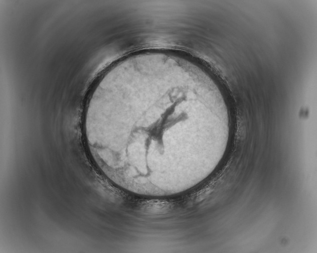 X0000100361314200806131006