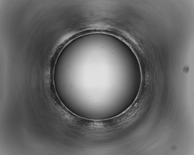 X0000100361315200806131006