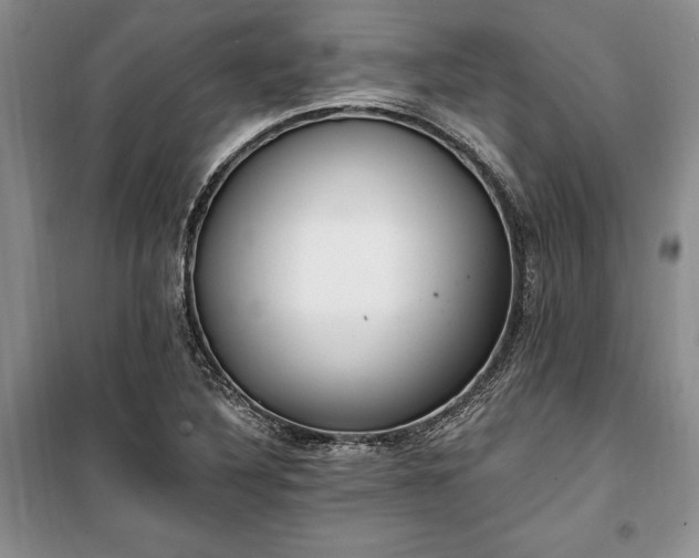 X0000100361316200806131006