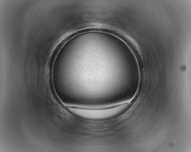 X0000100361318200806131006