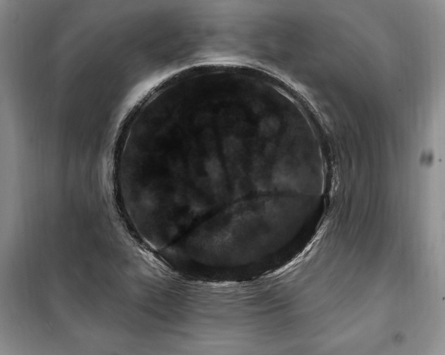 X0000100361319200806131006