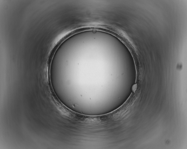 X0000100361320200806131006