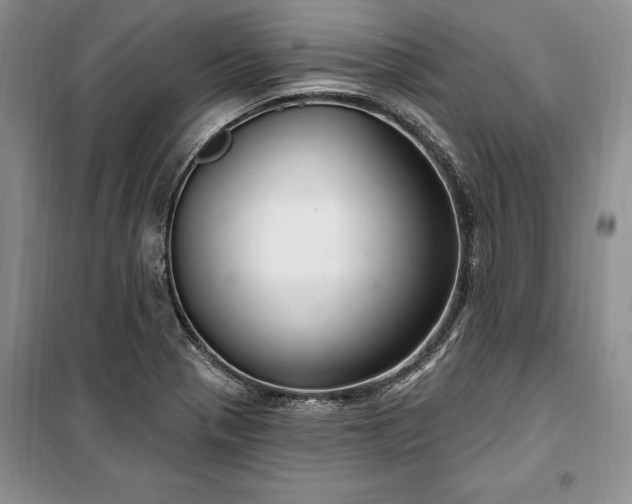 X0000100361321200806131006