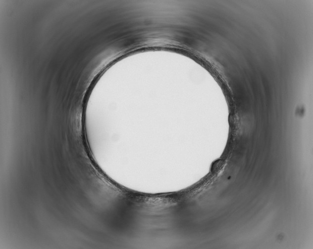 X0000100361322200806131006