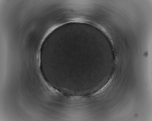 X0000100361323200806131006