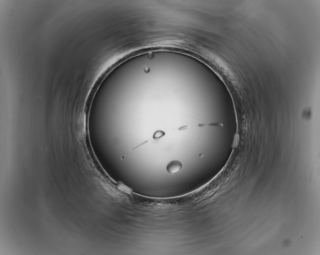 X0000100361324200806131006