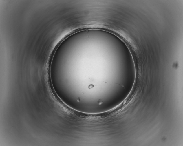 X0000100361325200806131006