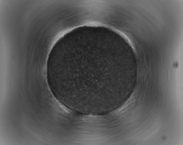 X0000100361327200806131006