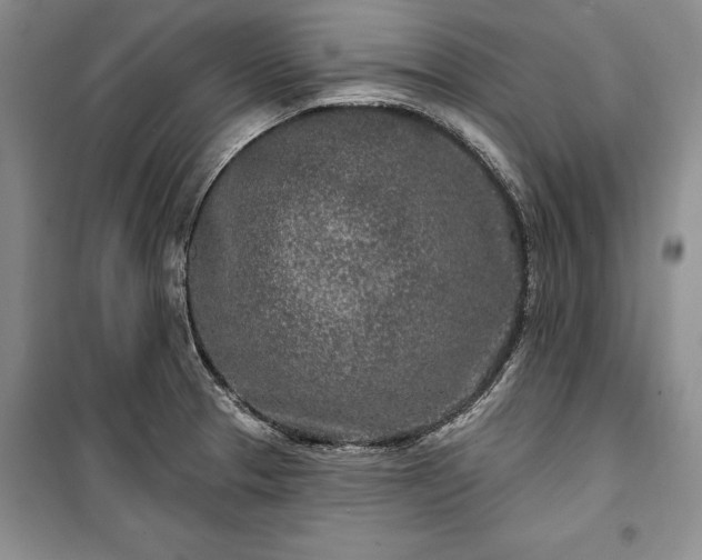 X0000100361329200806131006