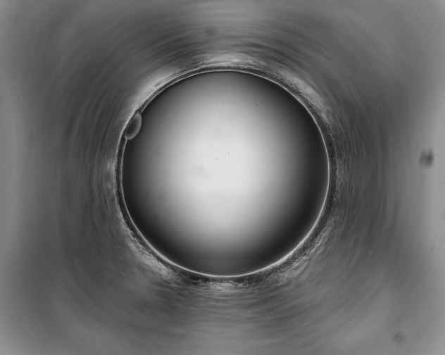 X0000100361330200806131006