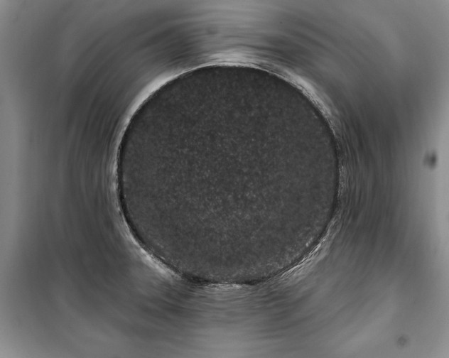 X0000100361331200806131006