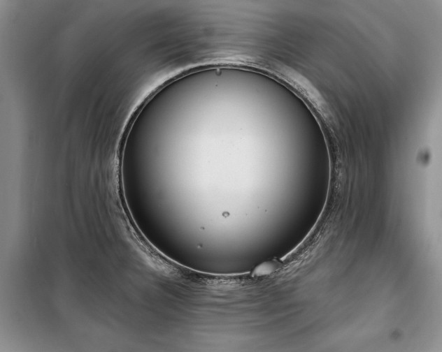 X0000100361332200806131006