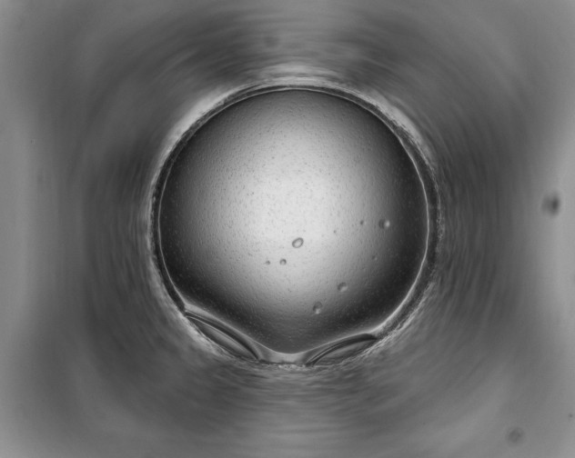 X0000100361333200806131006