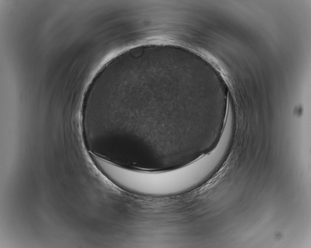 X0000100361334200806131006