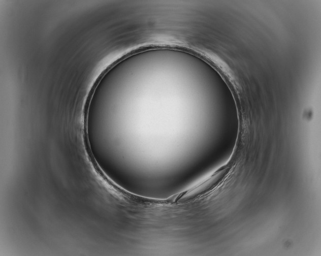 X0000100361335200806131006