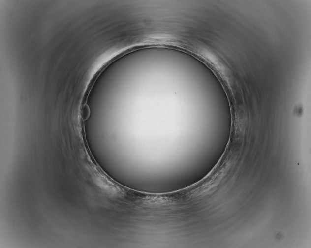 X0000100361336200806131006