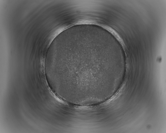 X0000100361337200806131006