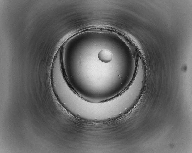 X0000100361338200806131006