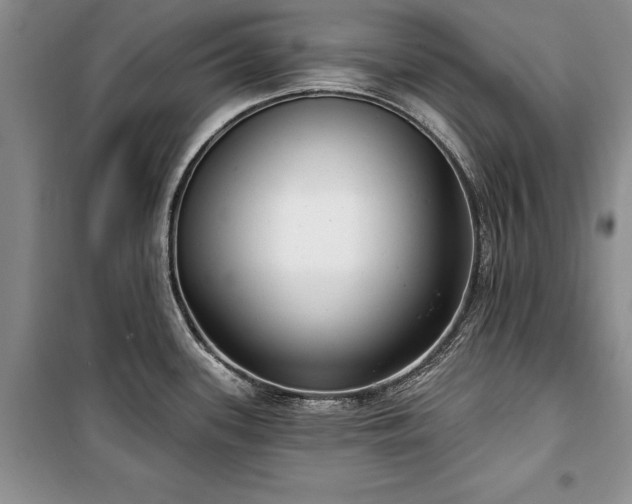 X0000100361339200806131006