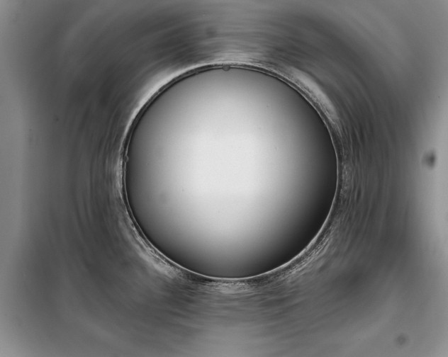 X0000100361340200806131006