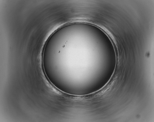 X0000100361341200806131006