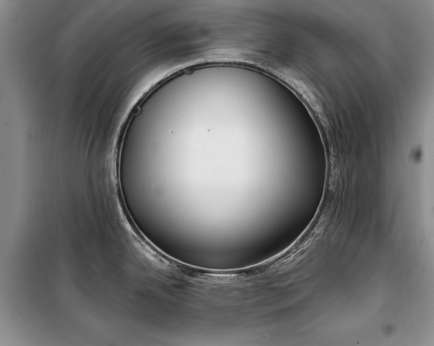 X0000100361342200806131006